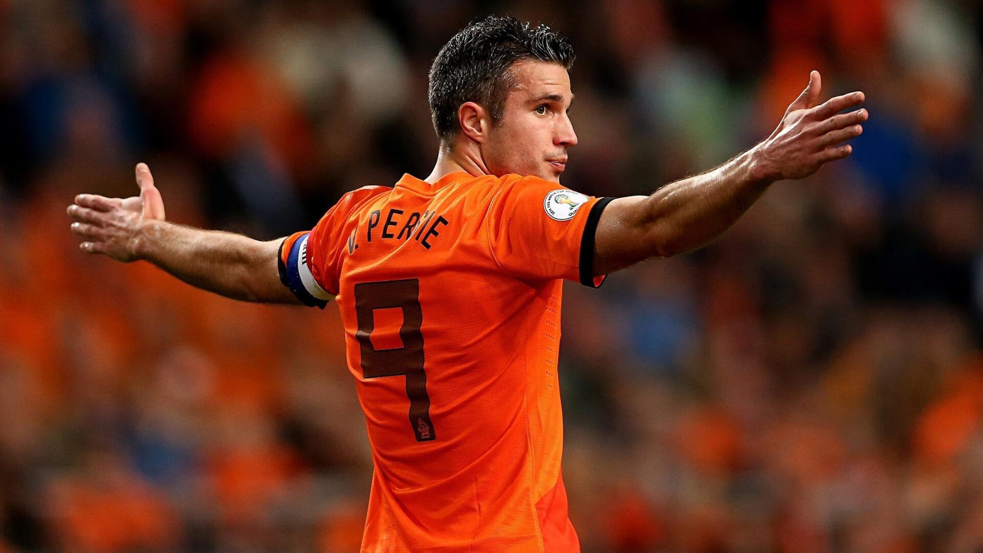 最“萌”的比赛：球迷与动物的趣味互动，动物踢球的游戏